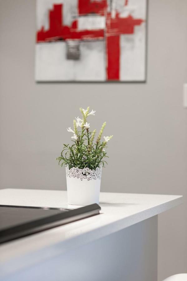 Entire 2 Bedroom Apartment Uptown Waterloo - E1 Eksteriør billede
